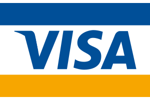 Visa Zahlungsmittel Logo